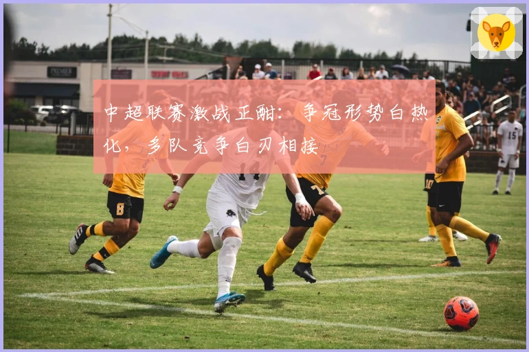 中超联赛激战正酣：争冠形势白热化，多队竞争白刃相接